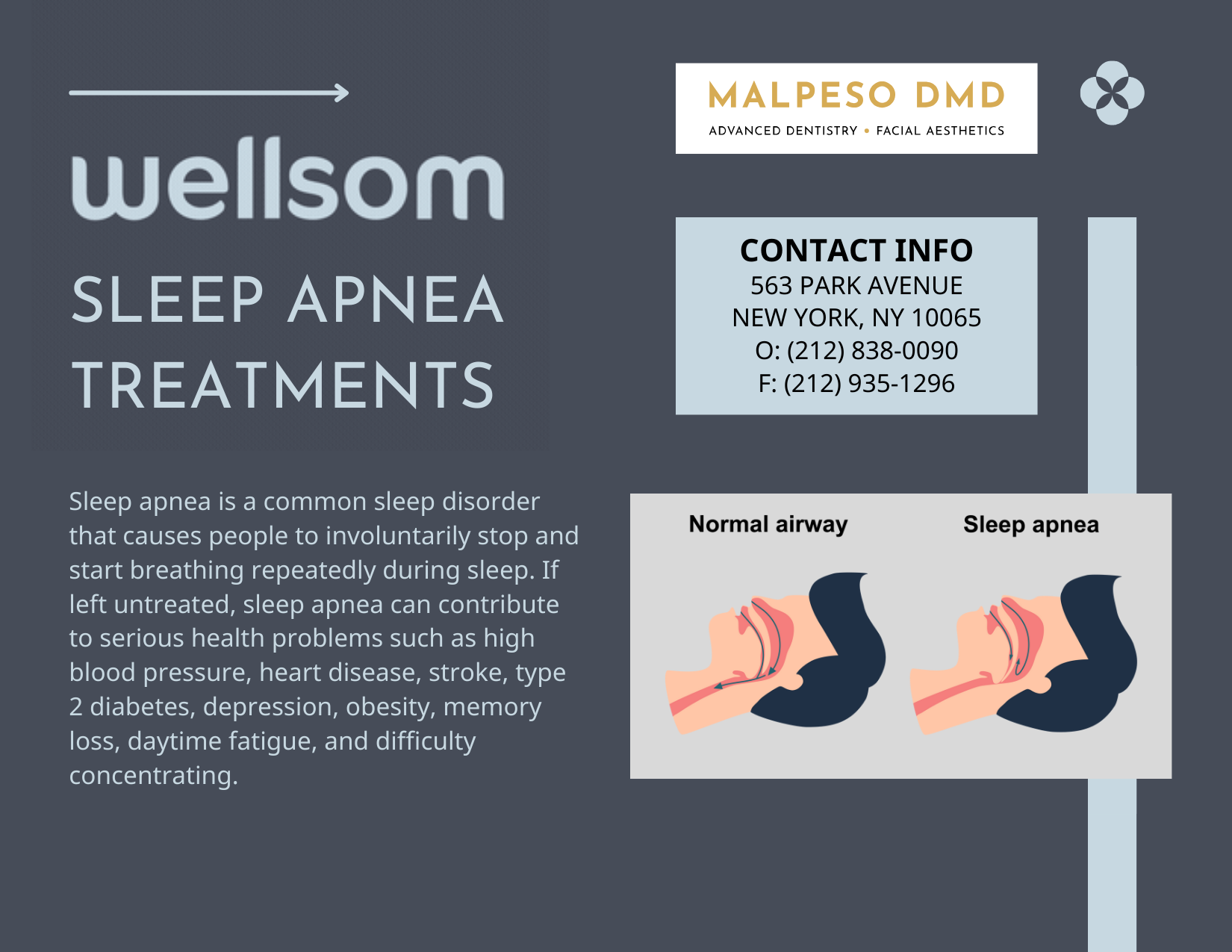 wellsom for sleep apnea p2
